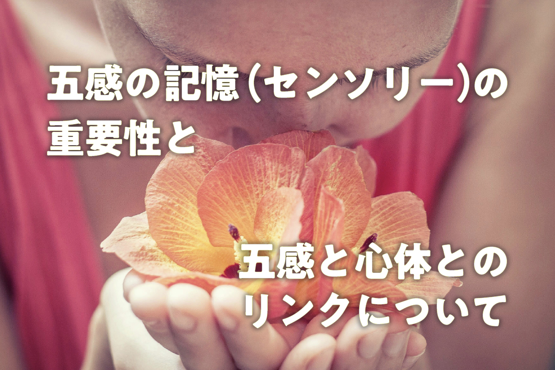 五感の記憶(センソリー)の重要性と、五感と心体とのリンクについて